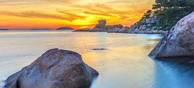 Các loại xe taxi phổ biến hoạt động tại sân bay Cam Ranh, Nha Trang, bao gồm taxi truyền thống và xe công nghệ.